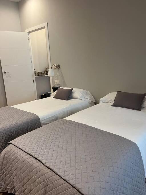 Precioso Y Centrico Apartamento Σαραγόσα Εξωτερικό φωτογραφία